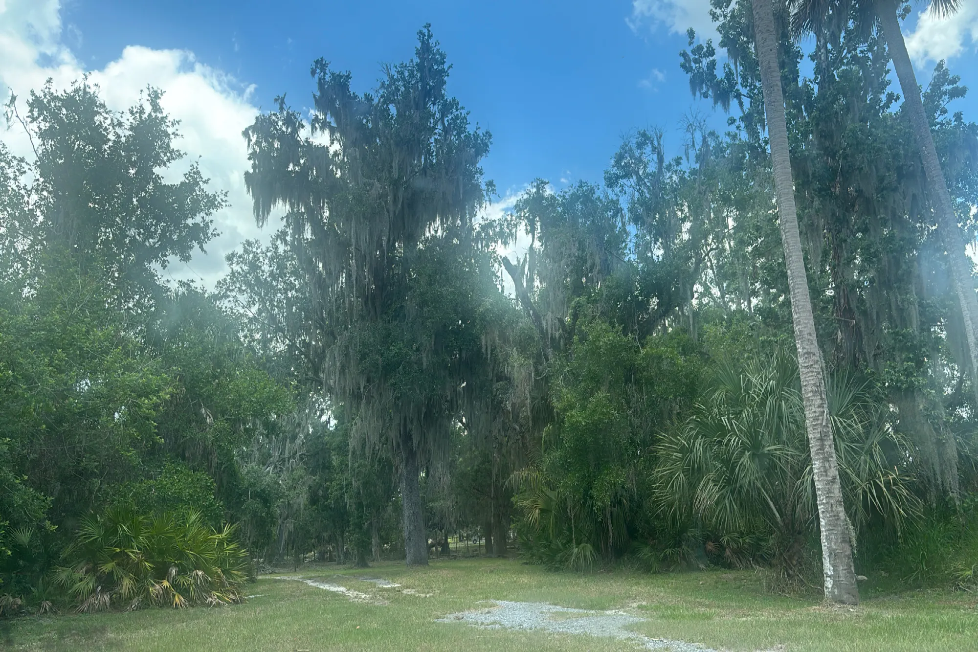 Darkwing Dr, Wauchula, FL 33873 #1