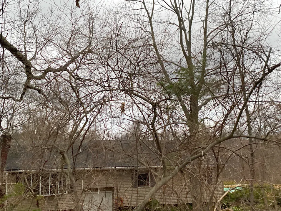 23 Blackstone Street Sutton, MA 01590, Worcester County