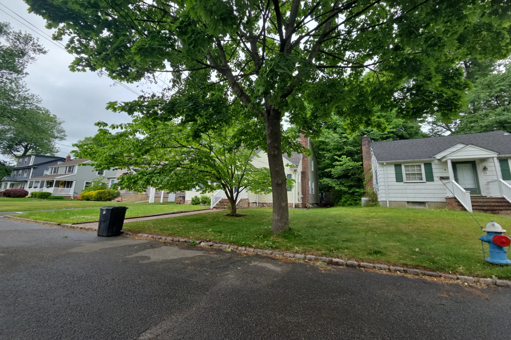 Alvin Ter, Springfield, NJ 07081 #1