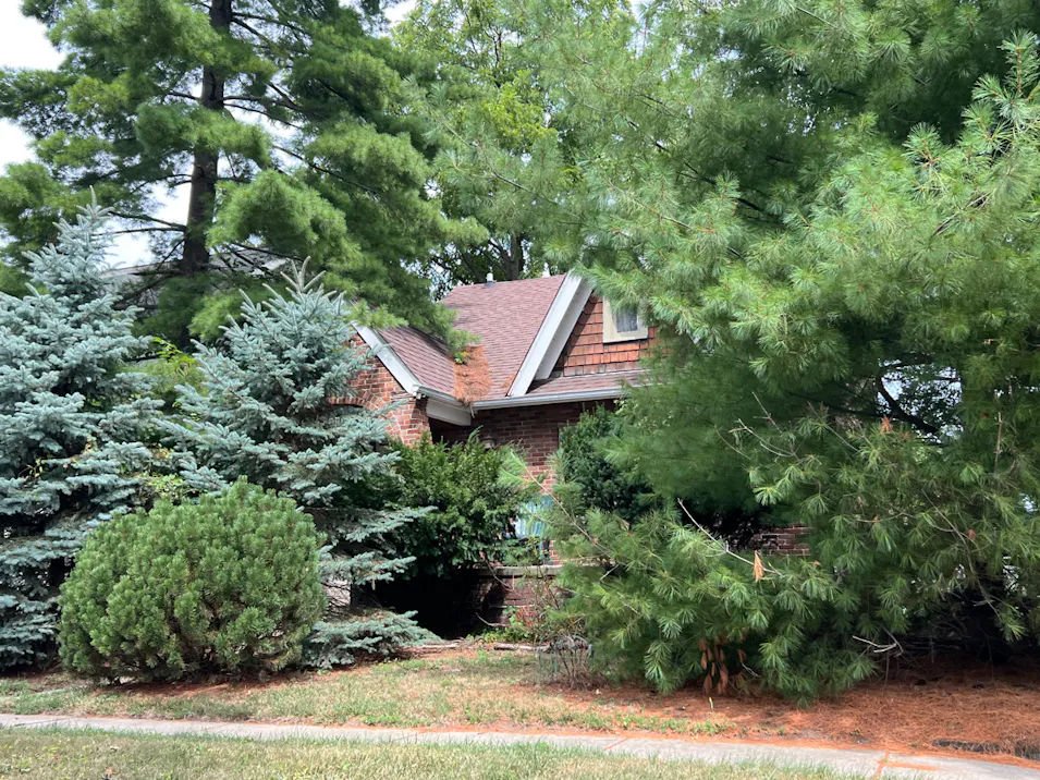 1500 Butternut Ave Royal Oak, MI 48073, Oakland County