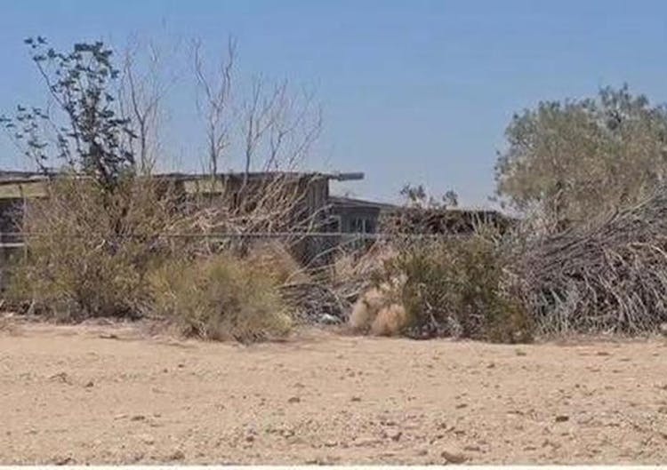 69562 Presswood Road Twentynine Palms, CA 92277, San Bernardino County