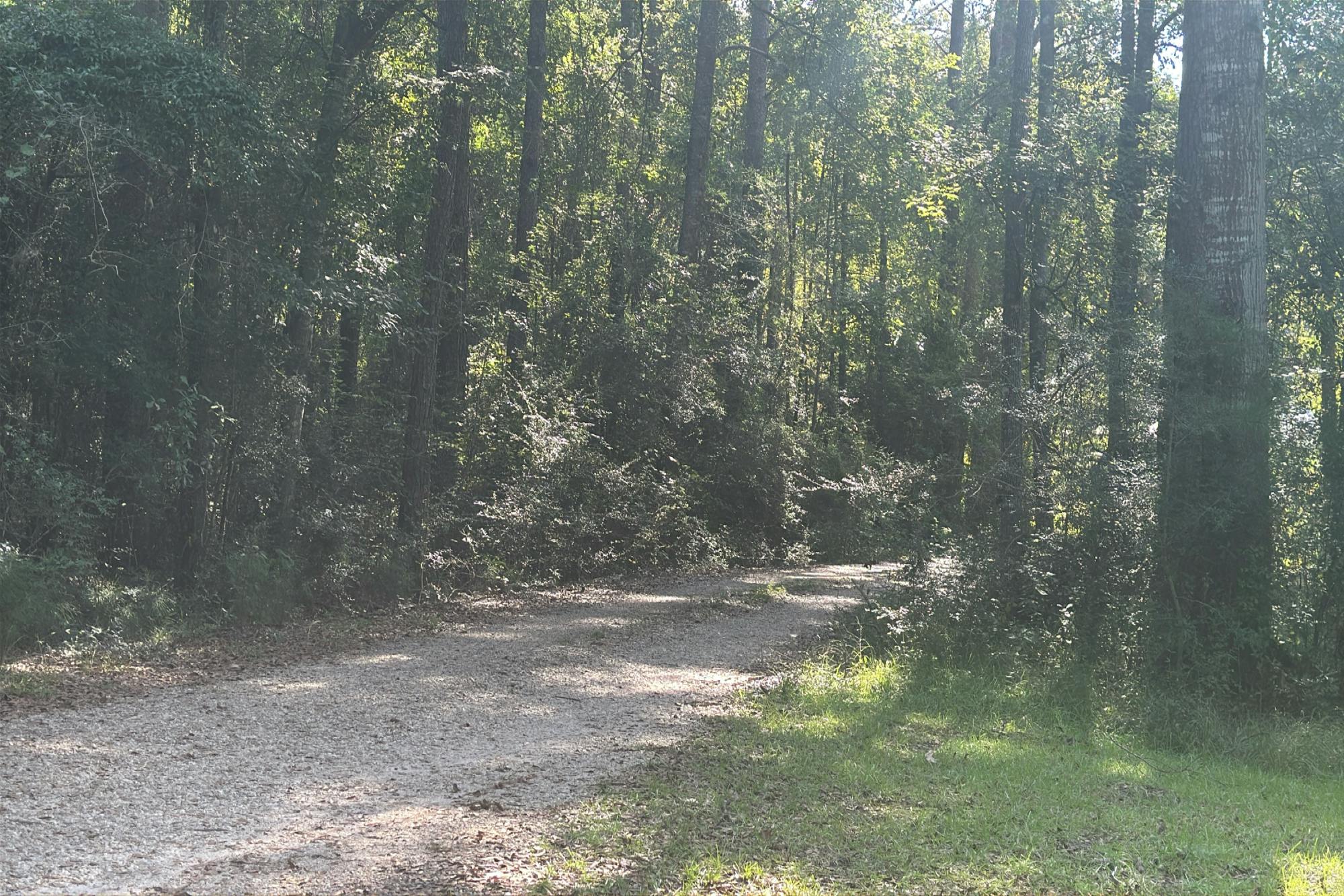 Humphrey Rd, Poplarville, MS 39470