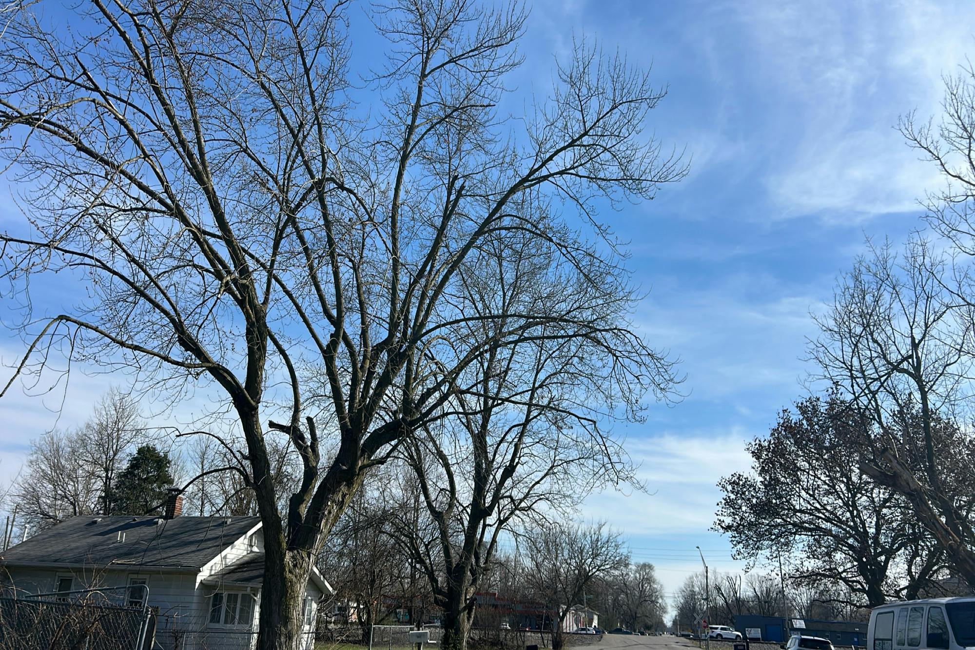 Foltz St, Indianapolis, IN 46241
