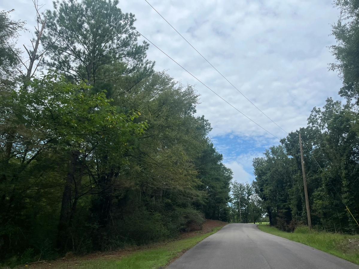 Hill Ln, Warrior, AL 35180