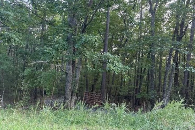 90 Quail Way Jasper, GA 30143, Pickens County