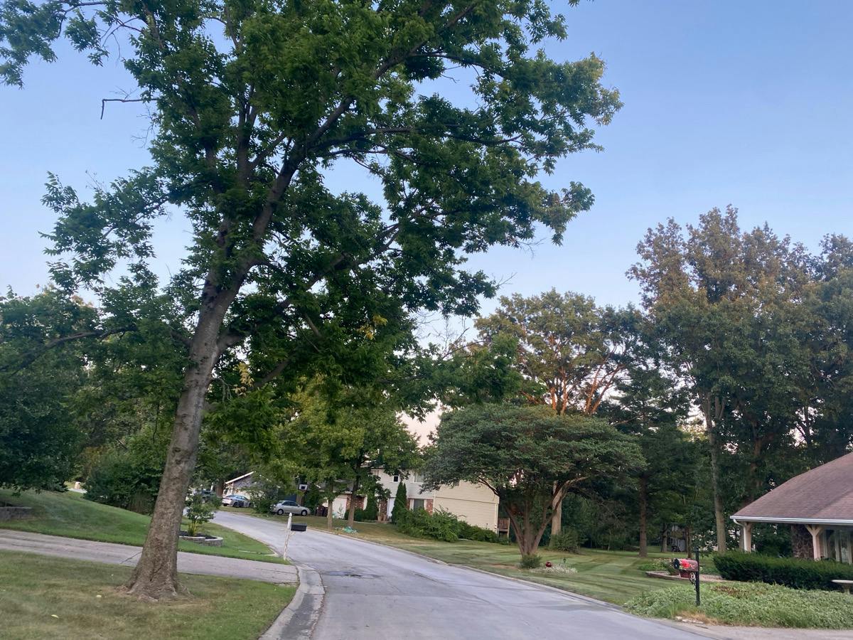 Rheims Ct, Lake Saint Louis, MO 63367