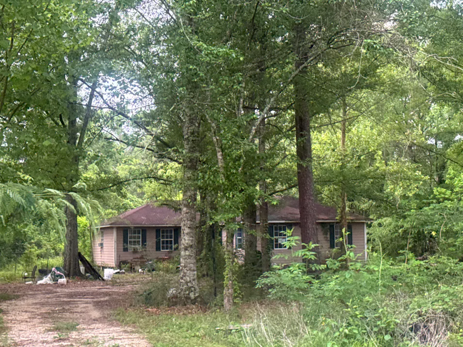 24008 Stepp Road Ponchatoula, LA 70454, Tangipahoa County