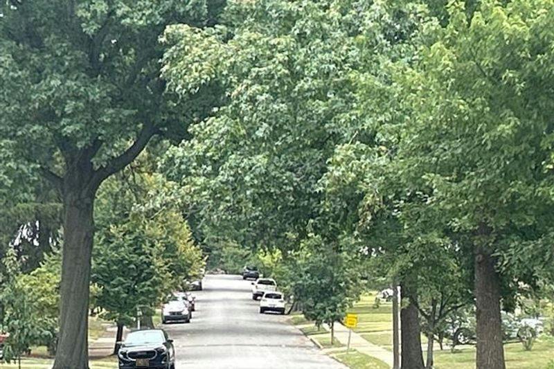 Marillac Dr, Saint Louis, MO 63121
