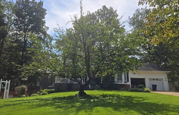 116 Jill Drive Lawrenceburg, TN 38464, Lawrence County