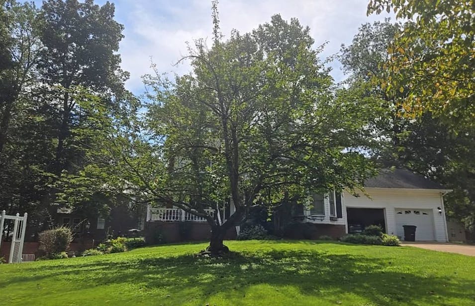 116 Jill Drive Lawrenceburg, TN 38464, Lawrence County