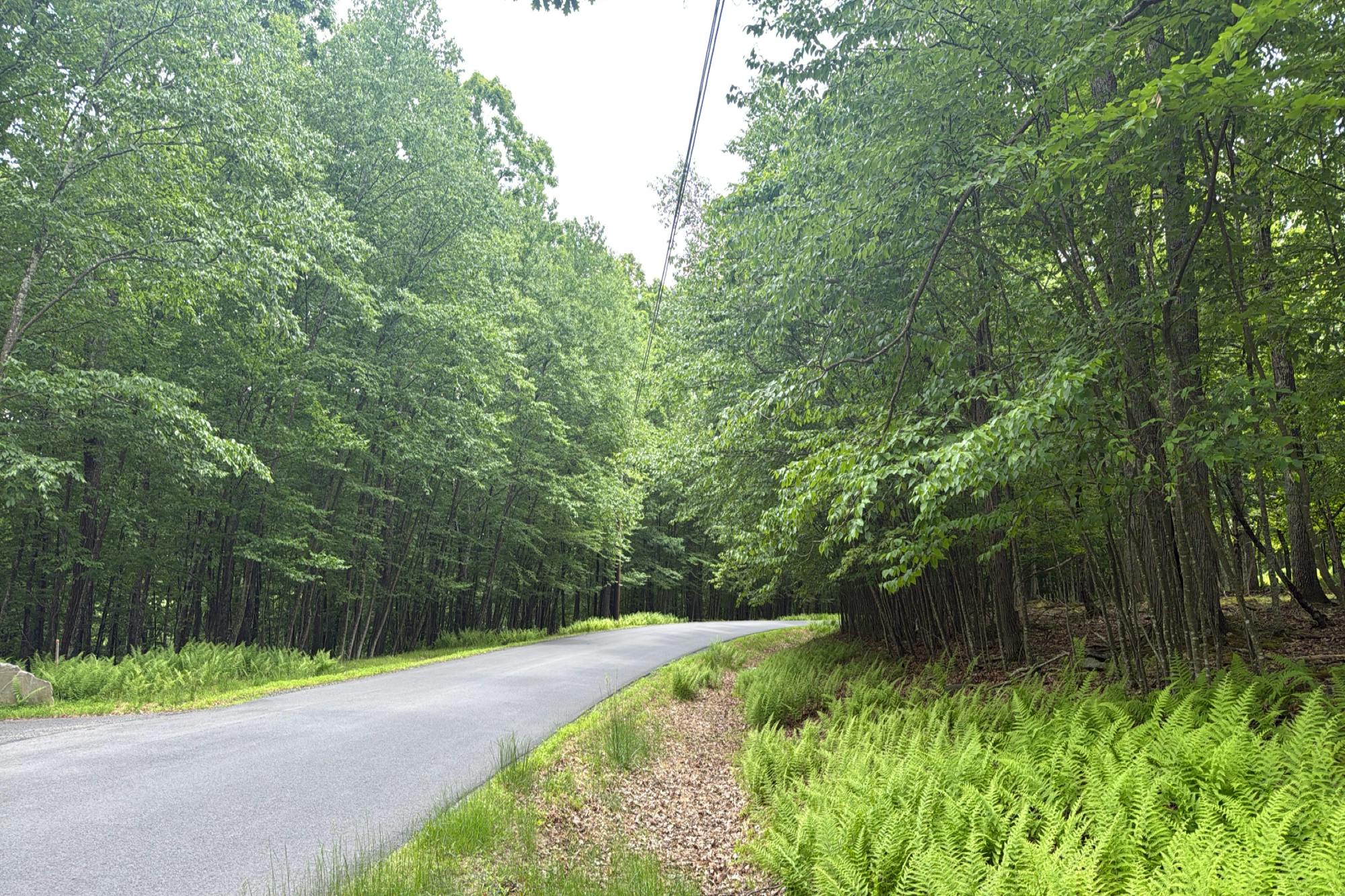 Pitch Pine Dr, Milford, PA 18337