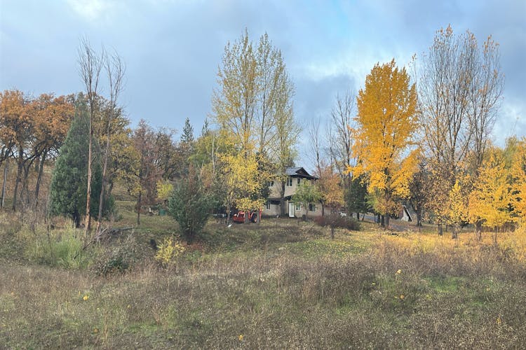 2300 Colestine Road Ashland, OR 97520, Jackson County
