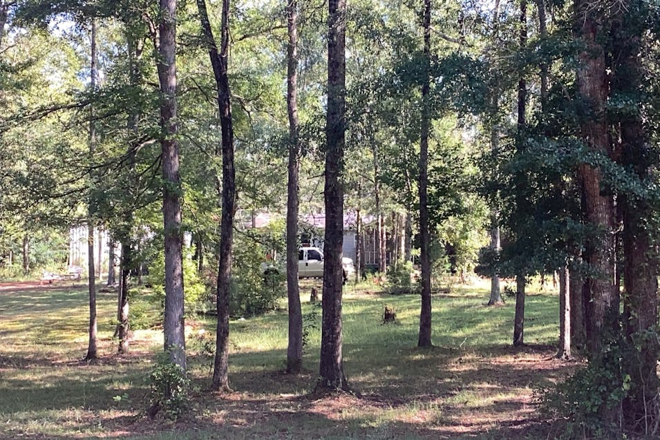 4080 County Road 388 Valley, AL 36854, Chambers County