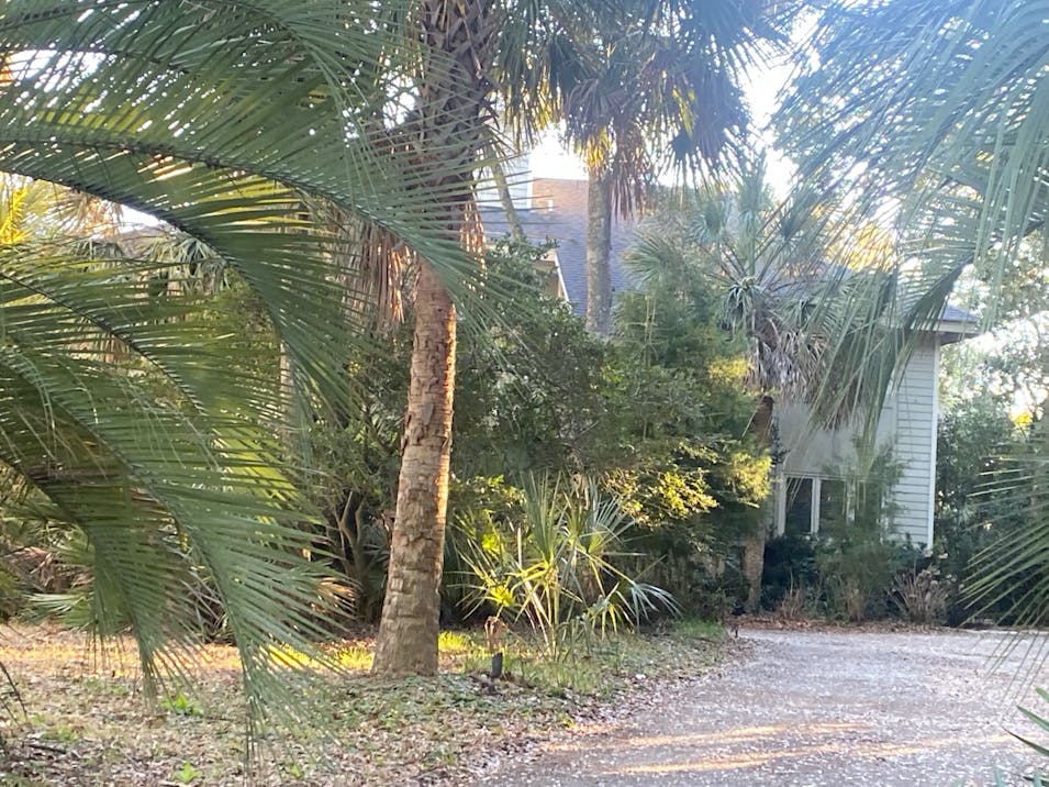 3 Barnacle Row Isle of Palms, SC 29451, Charleston County