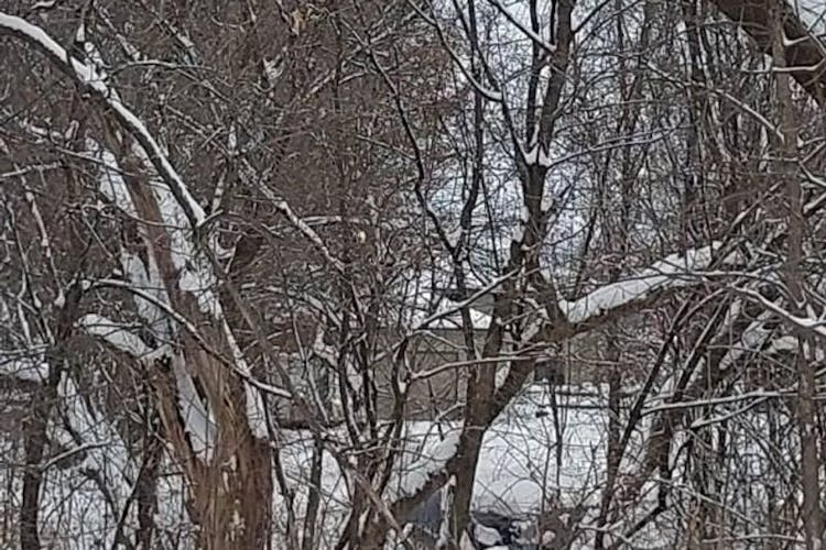 7077 Old Viking Blvd NW Anoka, MN 55303, Anoka County