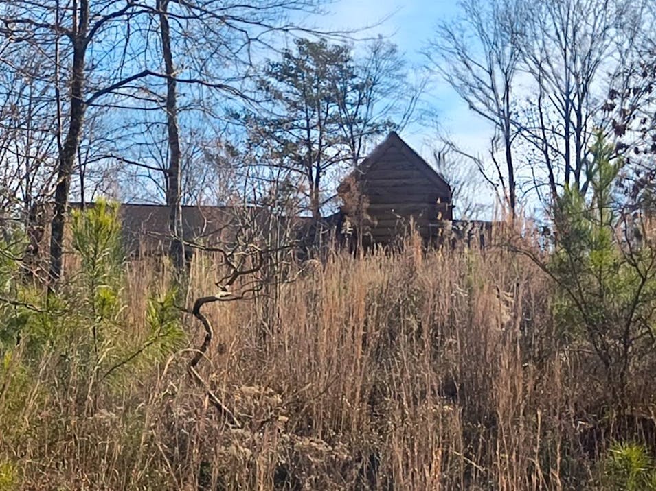 1432 County Rd 201 Delta, AL 36264, Randolph County