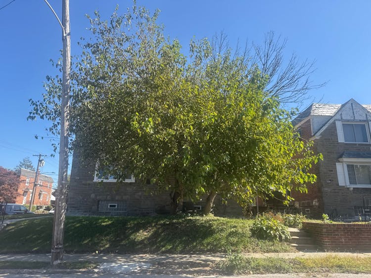 1244 Cardeza St Philadelphia, PA 19119, Philadelphia County