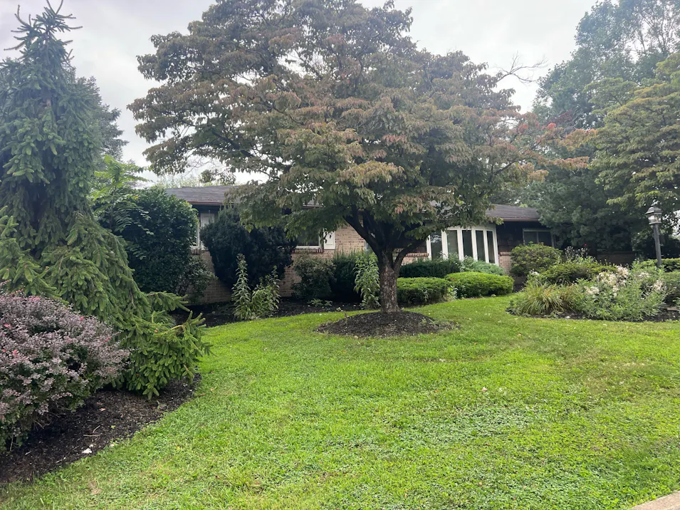 1250 N 17th St Allentown, PA 18104, Lehigh County