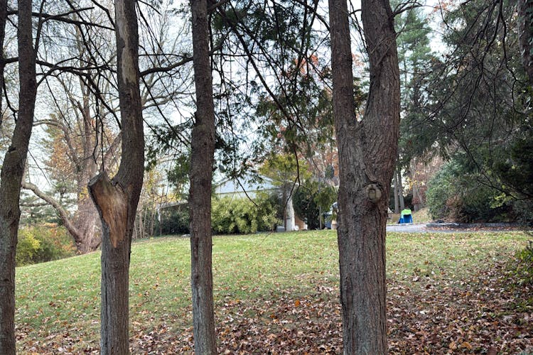 11 Fruitledge Road Brookville, NY 11545, Nassau County