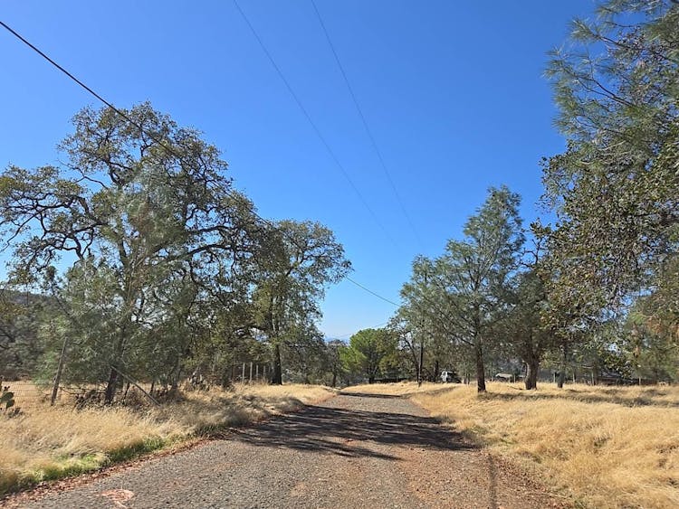 12240 Honey Mushroom Ln Smartsville, CA 95977, Nevada County