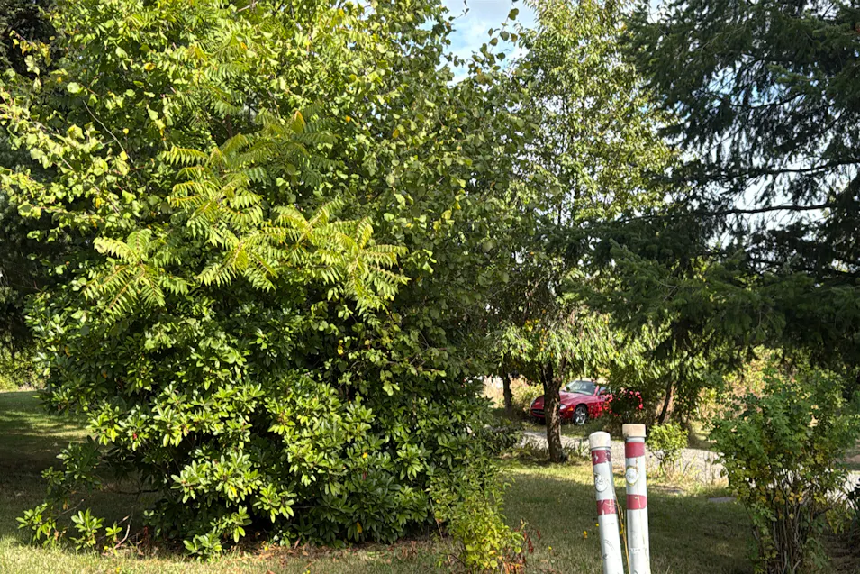 30245 E Woodard Rd Troutdale, OR 97060, Multnomah County