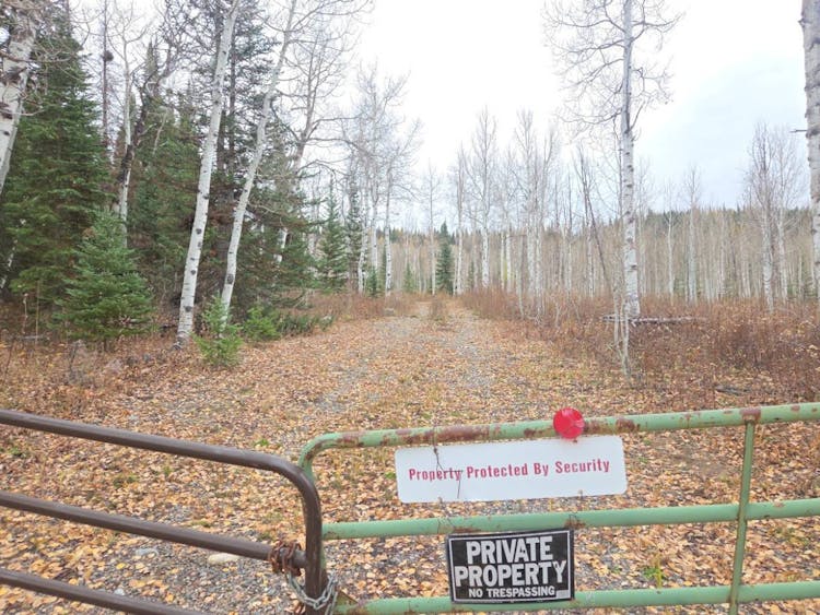 26659 Willow Gulch Dr Clark, CO 80428, Routt County