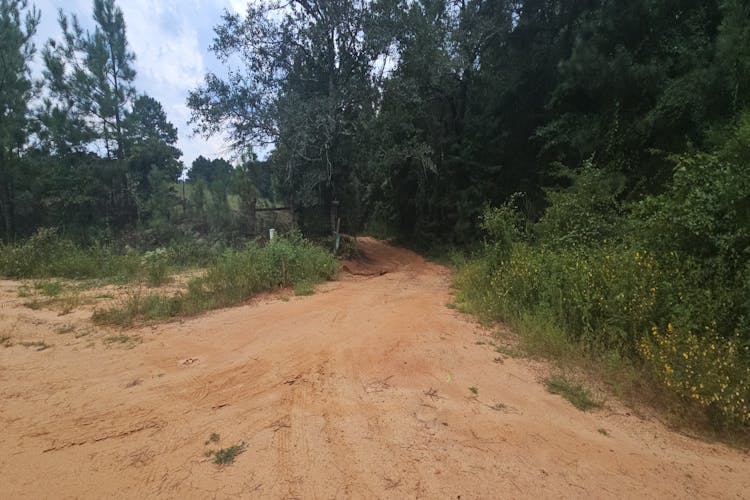 778 Moody Rd Buena Vista, GA 31803, Marion County
