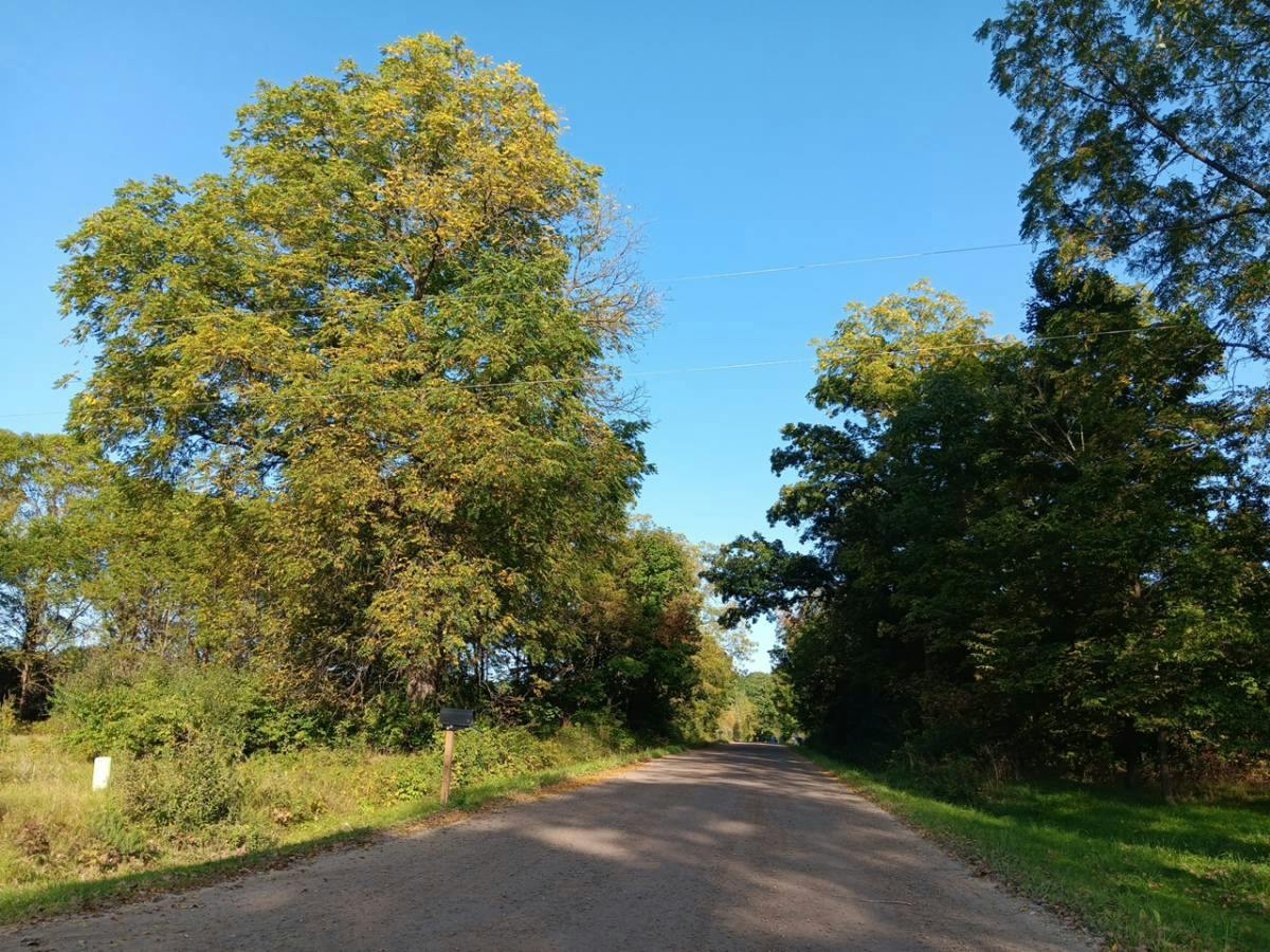 Dodge Rd, Montrose, MI 48457