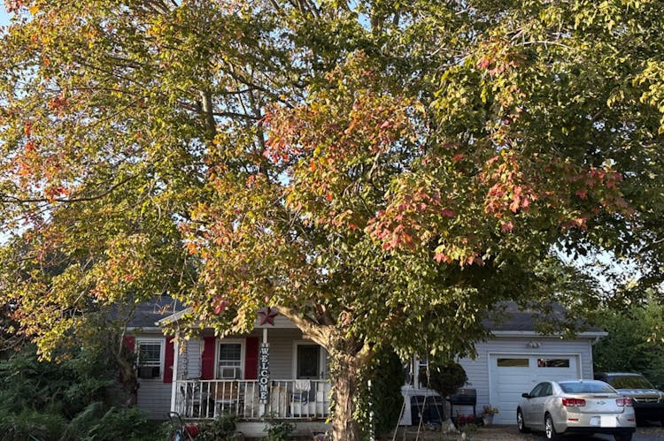 4775 State Route 41 NW Washington Court House, OH 43160, Fayette County