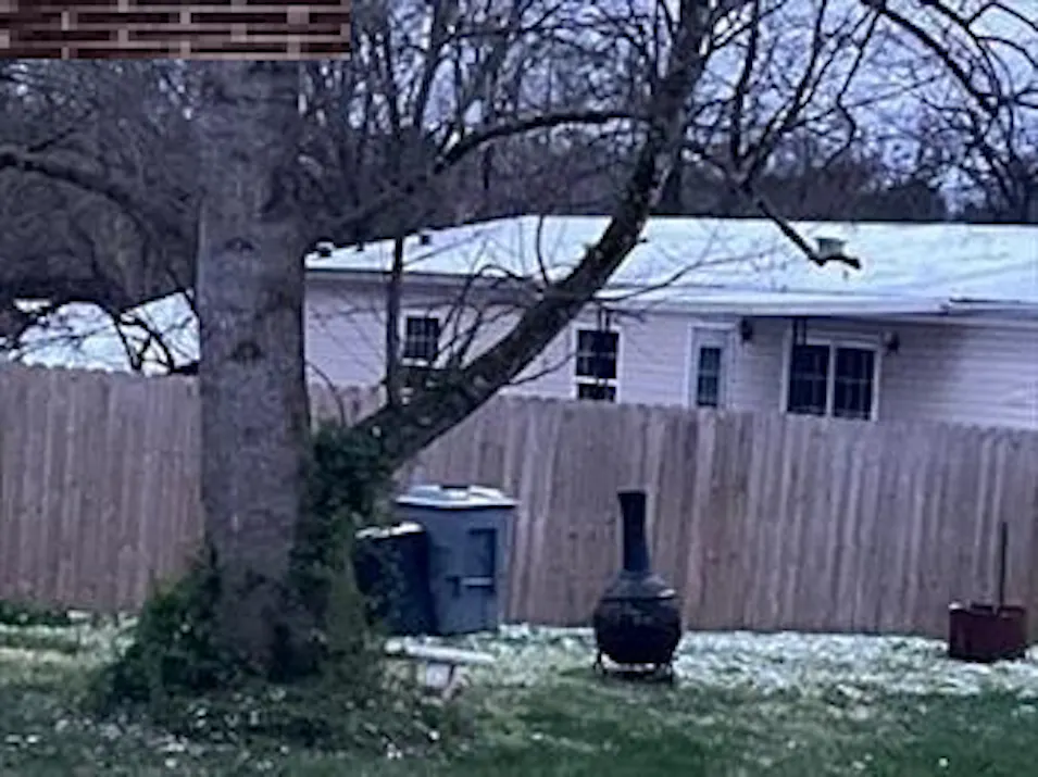 174 Hamilton Street Strawberry Plains, TN 37871, Jefferson County