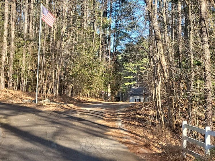 23630 Skinquarter Rd Moseley, VA 23120, Chesterfield County