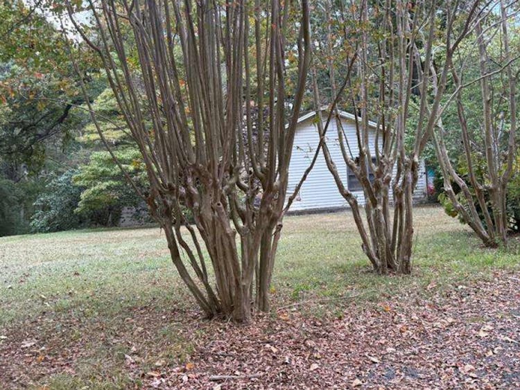 6566 Hickory Lane Clay, AL 35048, Jefferson County