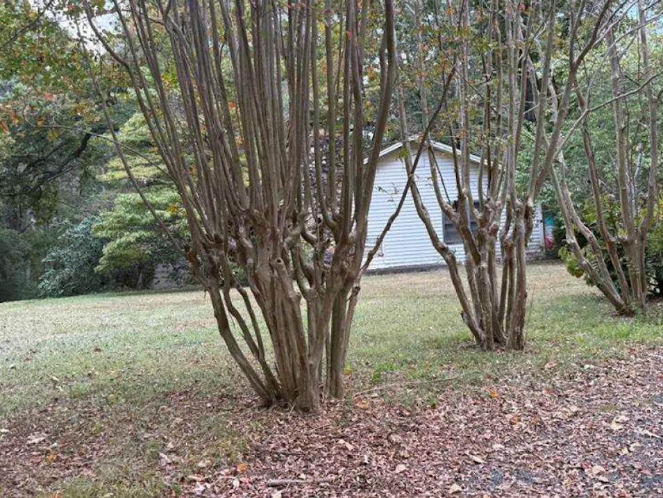 6566 Hickory Lane Clay, AL 35048, Jefferson County