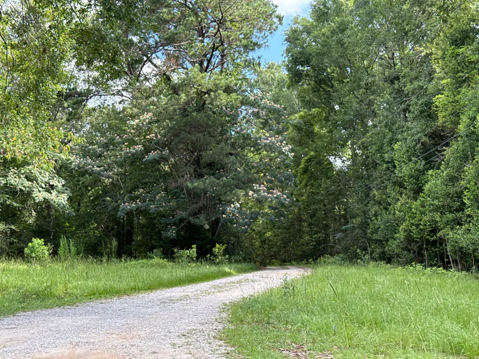 2156 Palestine Rd Picayune, MS 39466, Pearl River County
