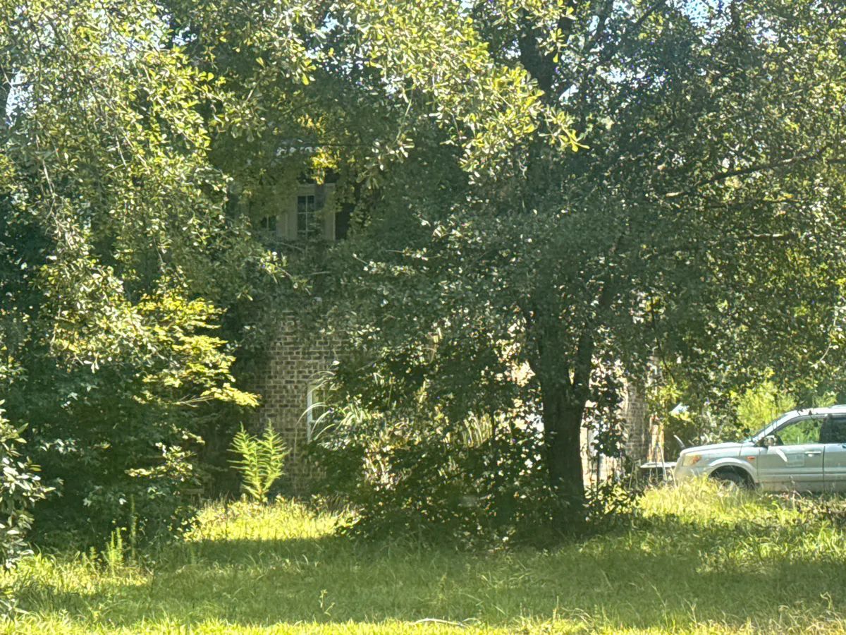 Knob Creek Dr, Ellabell, GA 31308 #1