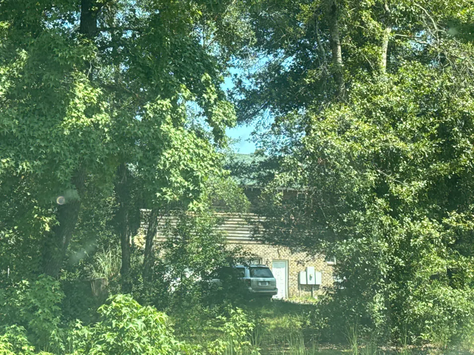 900 Knob Creek Drive Ellabell, GA 31308, Bulloch County
