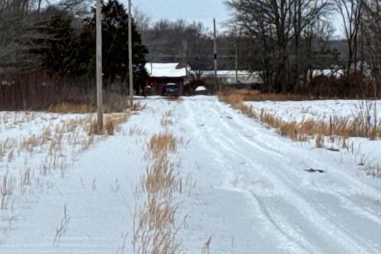 15642 Crabtree School Rd Marion, IL 62959, Williamson County