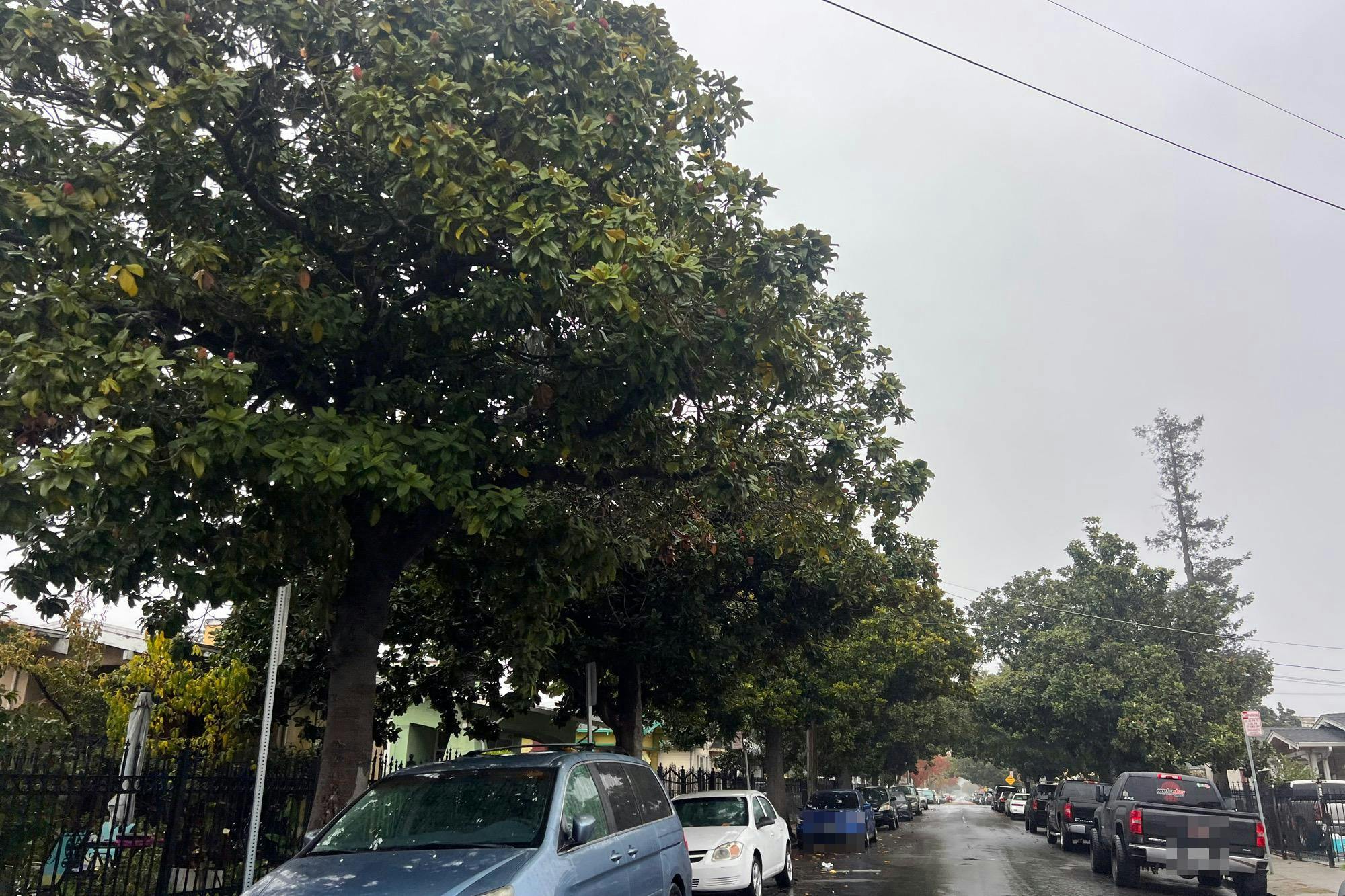 87th Ave, Oakland, CA 94621
