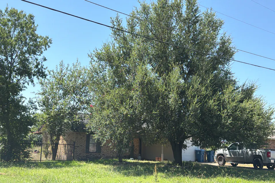 413 Green Acres Drive Palmer, TX 75152, Ellis County
