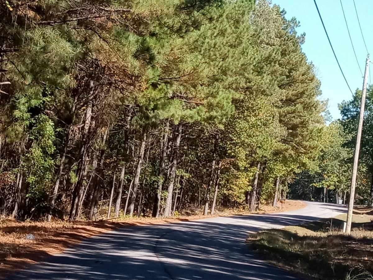 Kristen Cir, Mabelvale, AR 72103