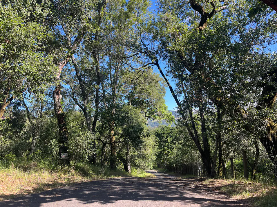 4848 Perracca Rd Santa Rosa, CA 95404, Sonoma County