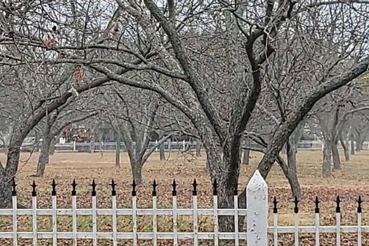 627 E Tripp Rd Sunnyvale, TX 75182, Dallas County