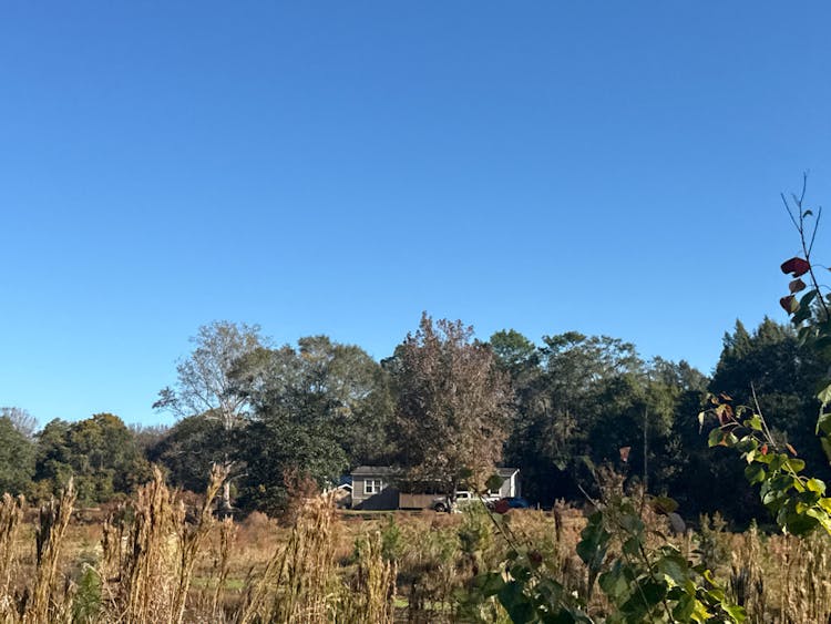 12320 Lily Orchard Rd Moss Point, MS 39562, Jackson County