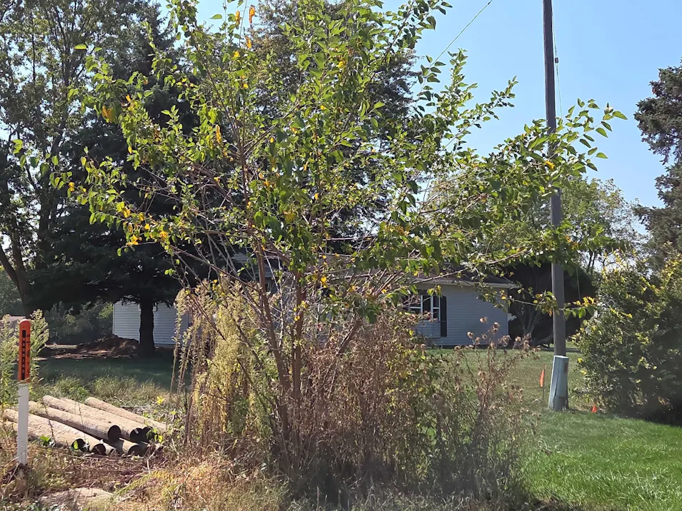 1198 122nd Ave Martin, MI 49070, Allegan County