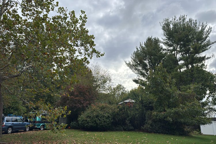 8 Marwood Place Stony Brook, NY 11790, Suffolk County