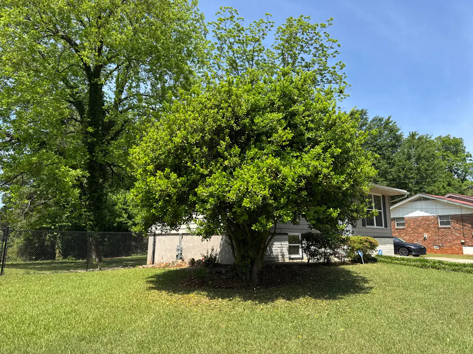 2835 Norgate Lane Decatur, GA 30034, Dekalb County