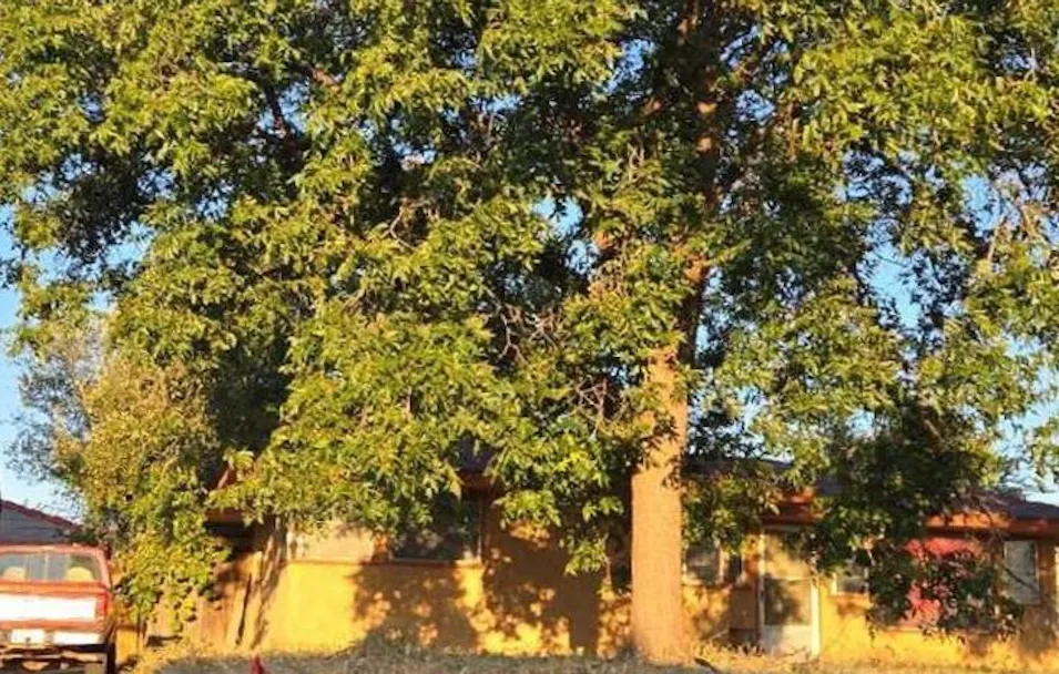 111 N Carolina St Amarillo, TX 79106, Potter County