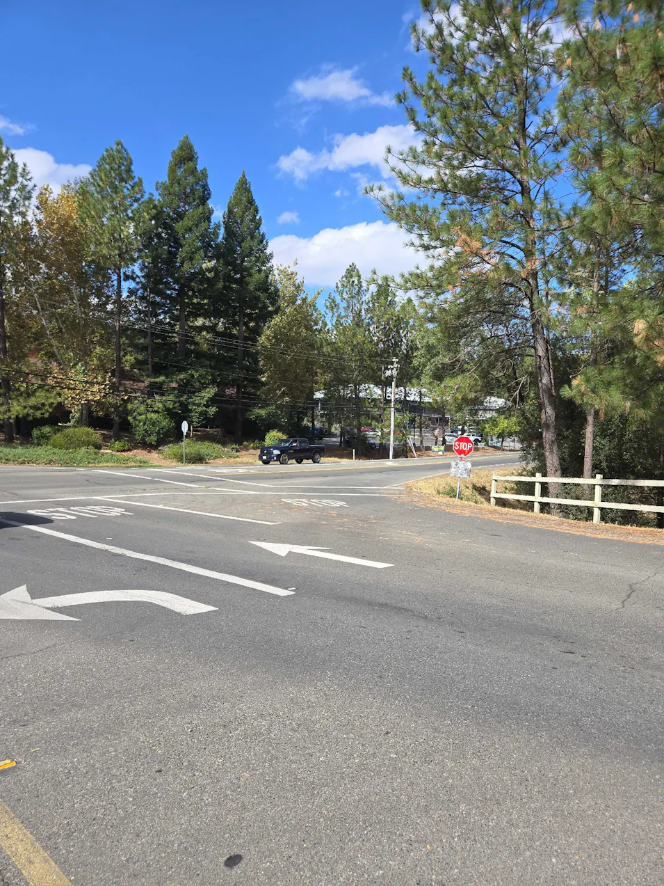 13993 Hemlock Drive Penn Valley, CA 95946, Nevada County