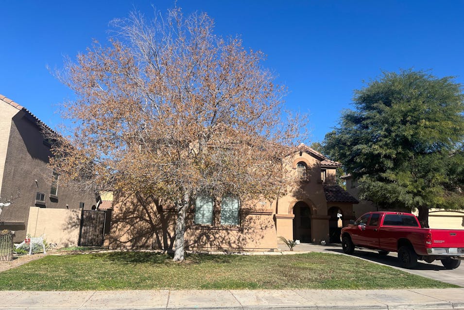 21420 E Roundup Way Queen Creek, AZ 85142, Maricopa County