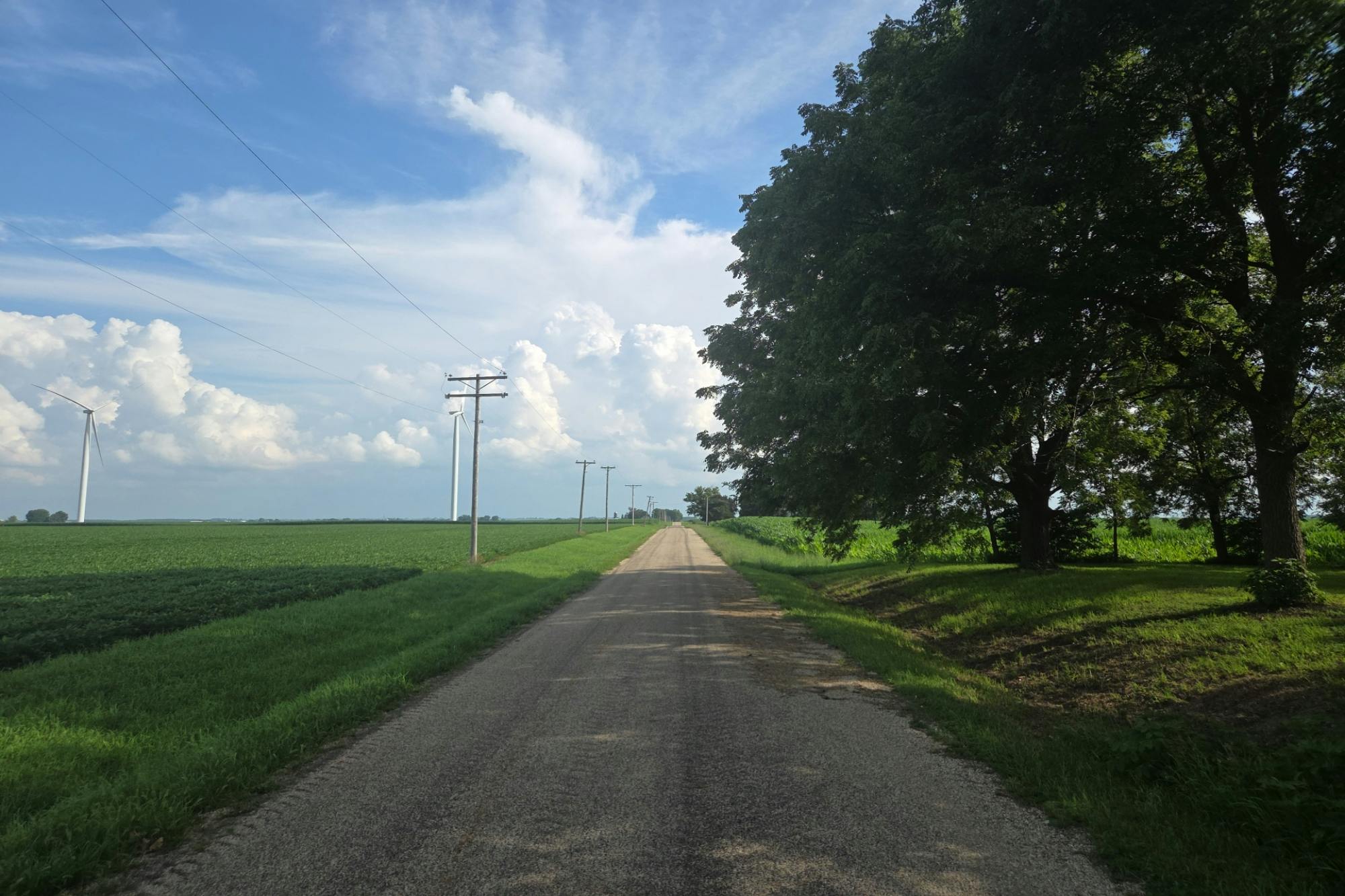 1180th St, Woodhull, IL 61490